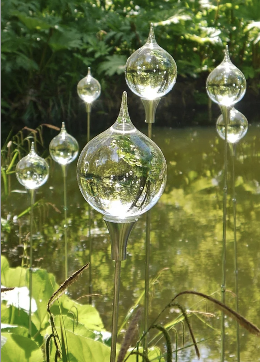 Neil Wilkin, Dew Drop