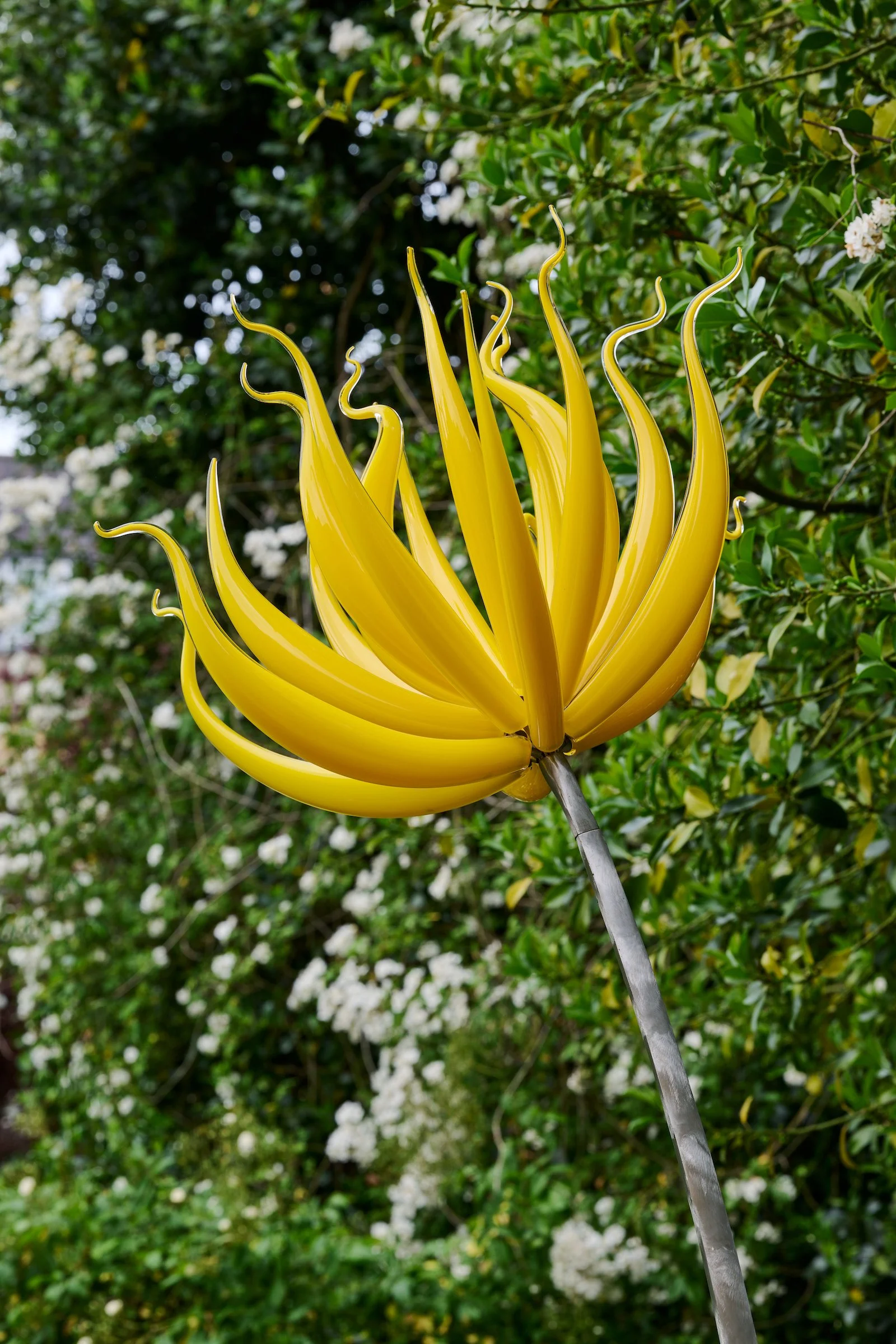 Neil Wilkin, Colour Catcher - Tall Yellow