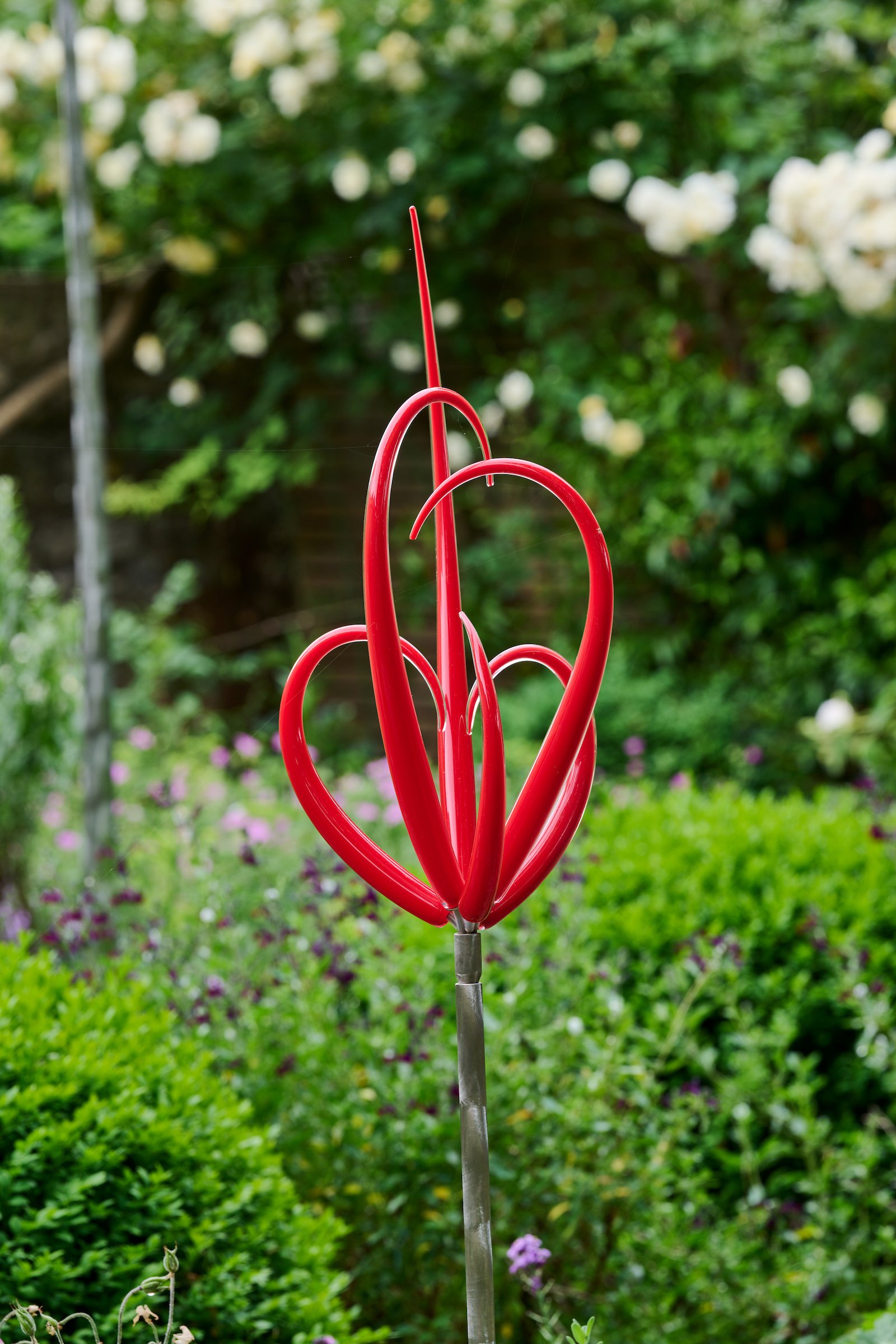 Neil Wilkin, Little Red Flower