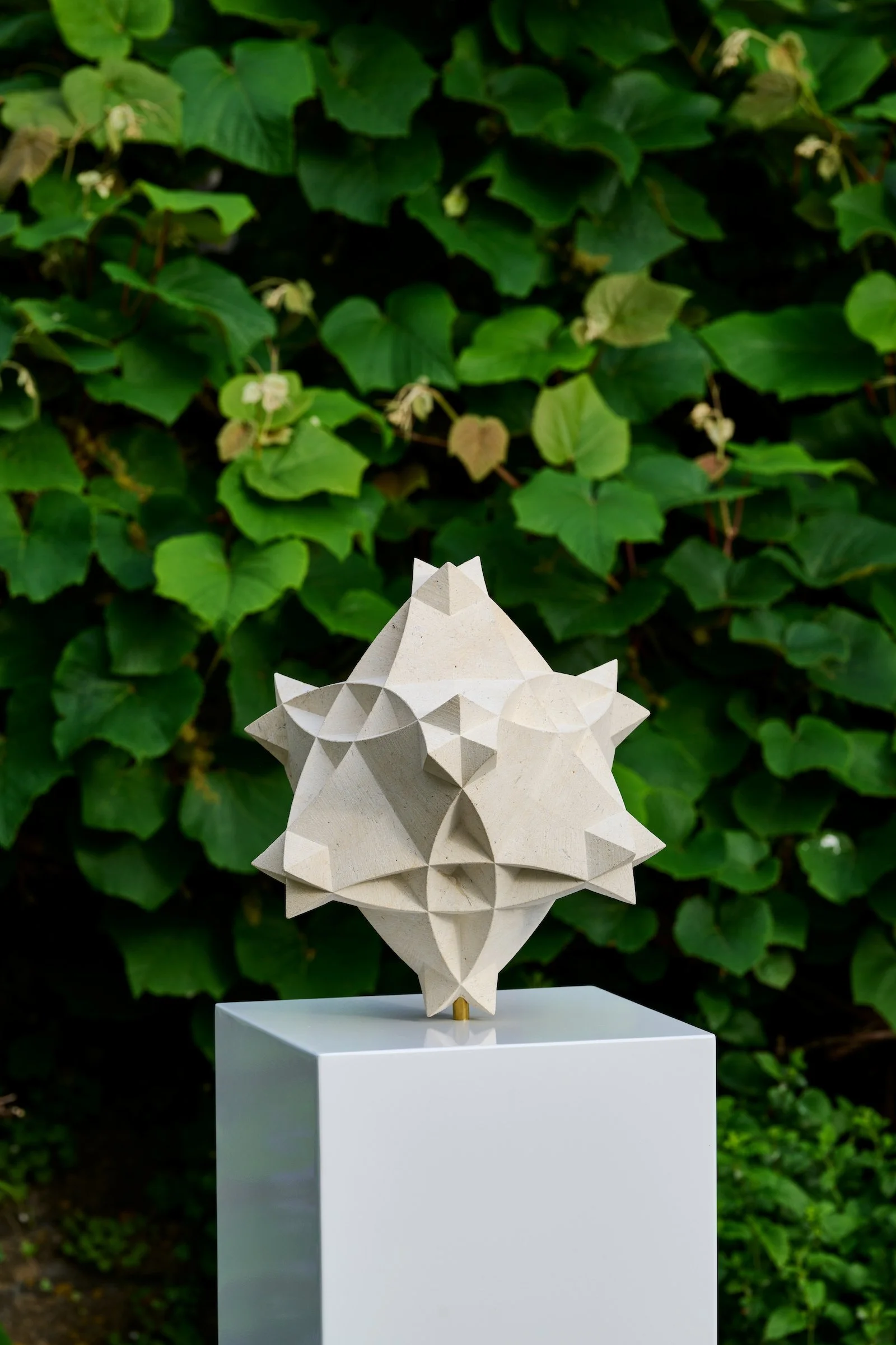 Zoë Wilson, Orbis