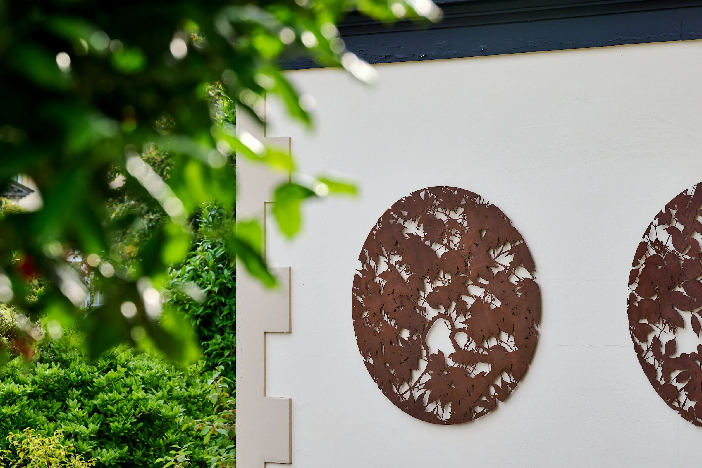 Ian Turnock, Japanese Maple