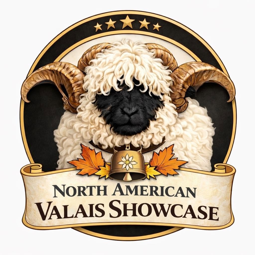North American Valais Showcase