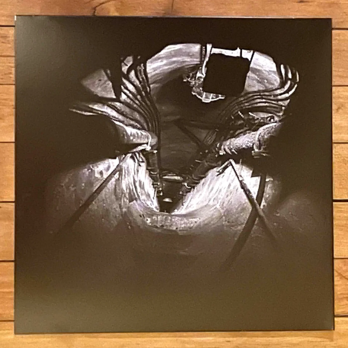 rear cover.jpg