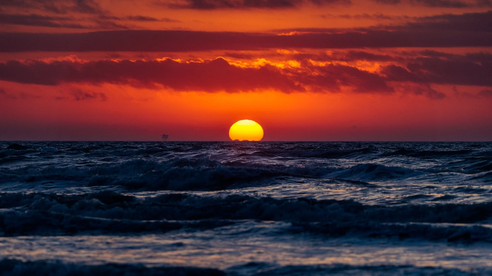wakeupgalveston.jpg
