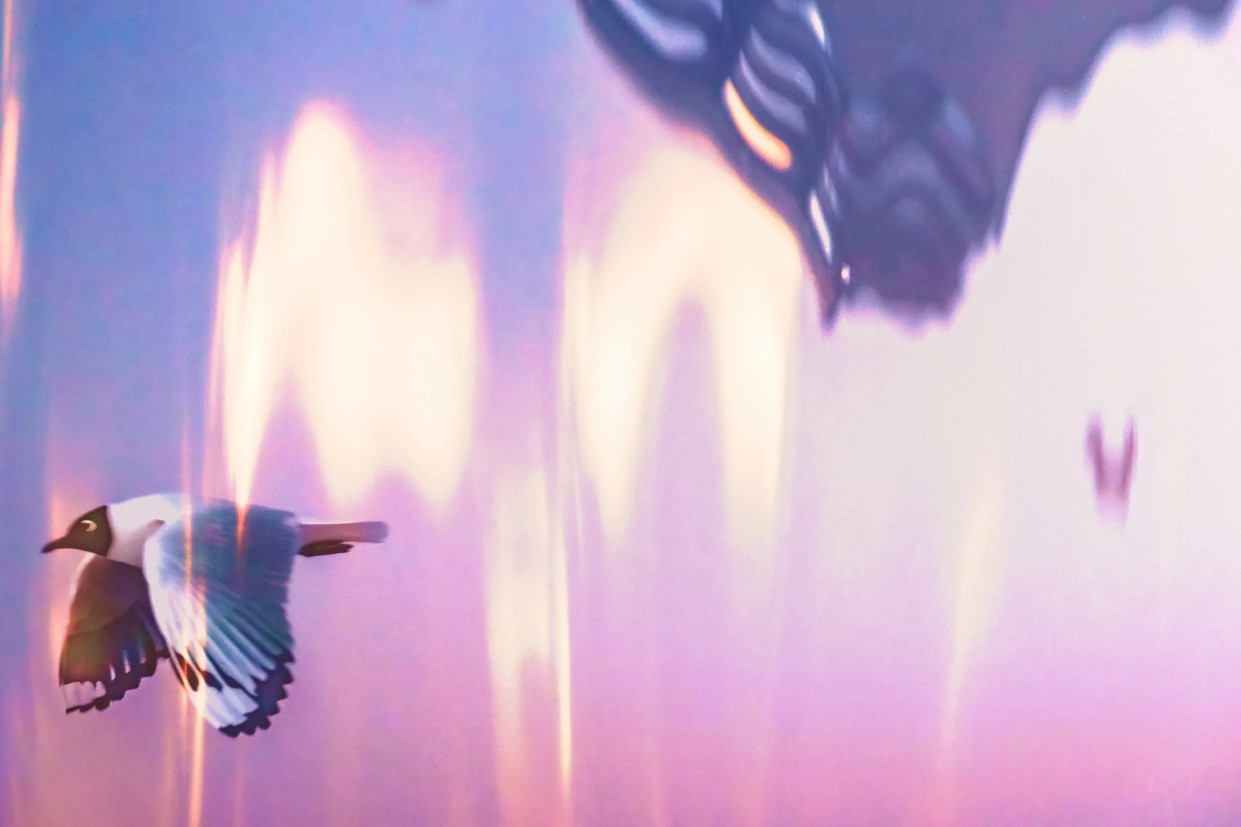 Leaving With The Sun (2023)