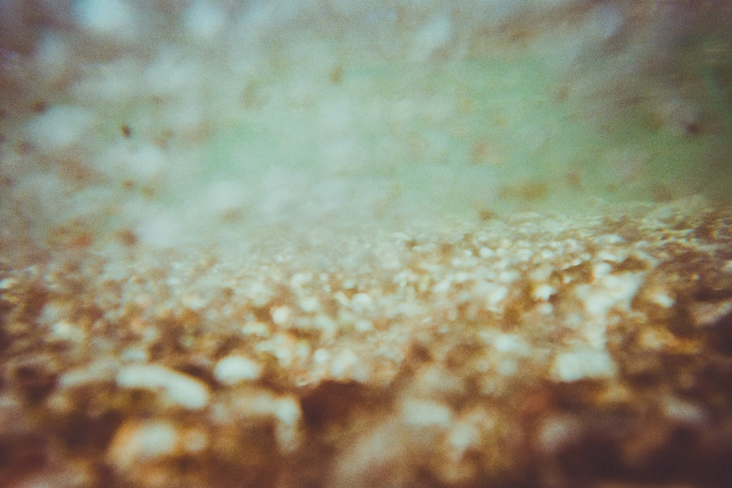 Submersion (2026).
