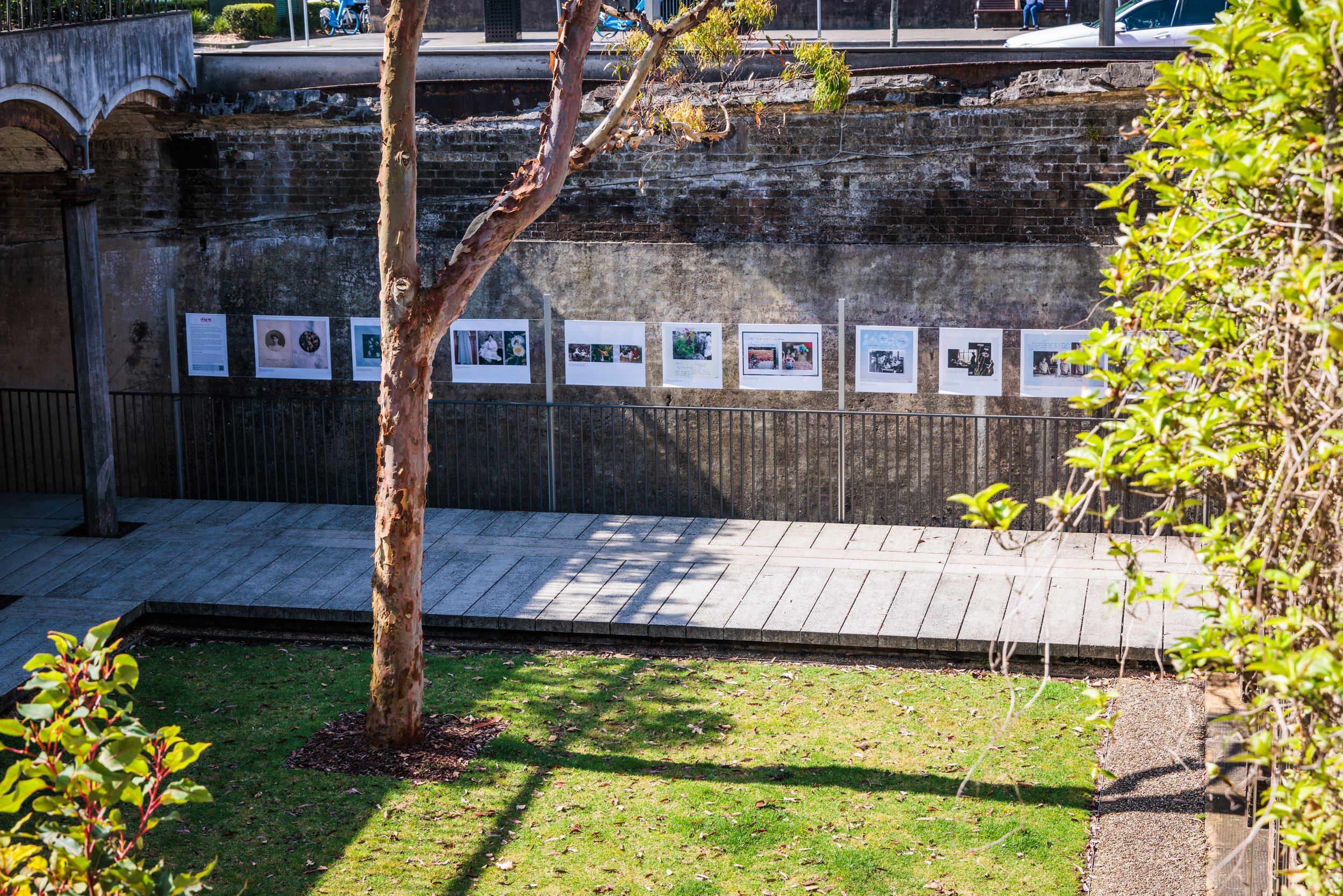 Outdoor art display with photographs hanging on a metal fence, trees and a brick wall in the background.