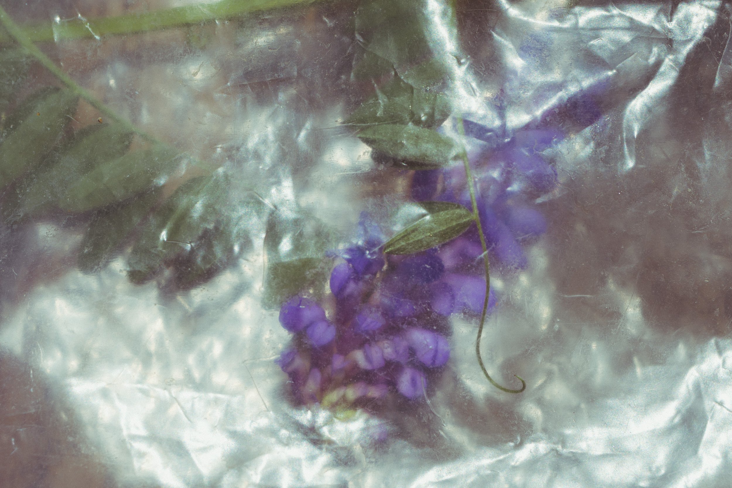 Stasis (2026).