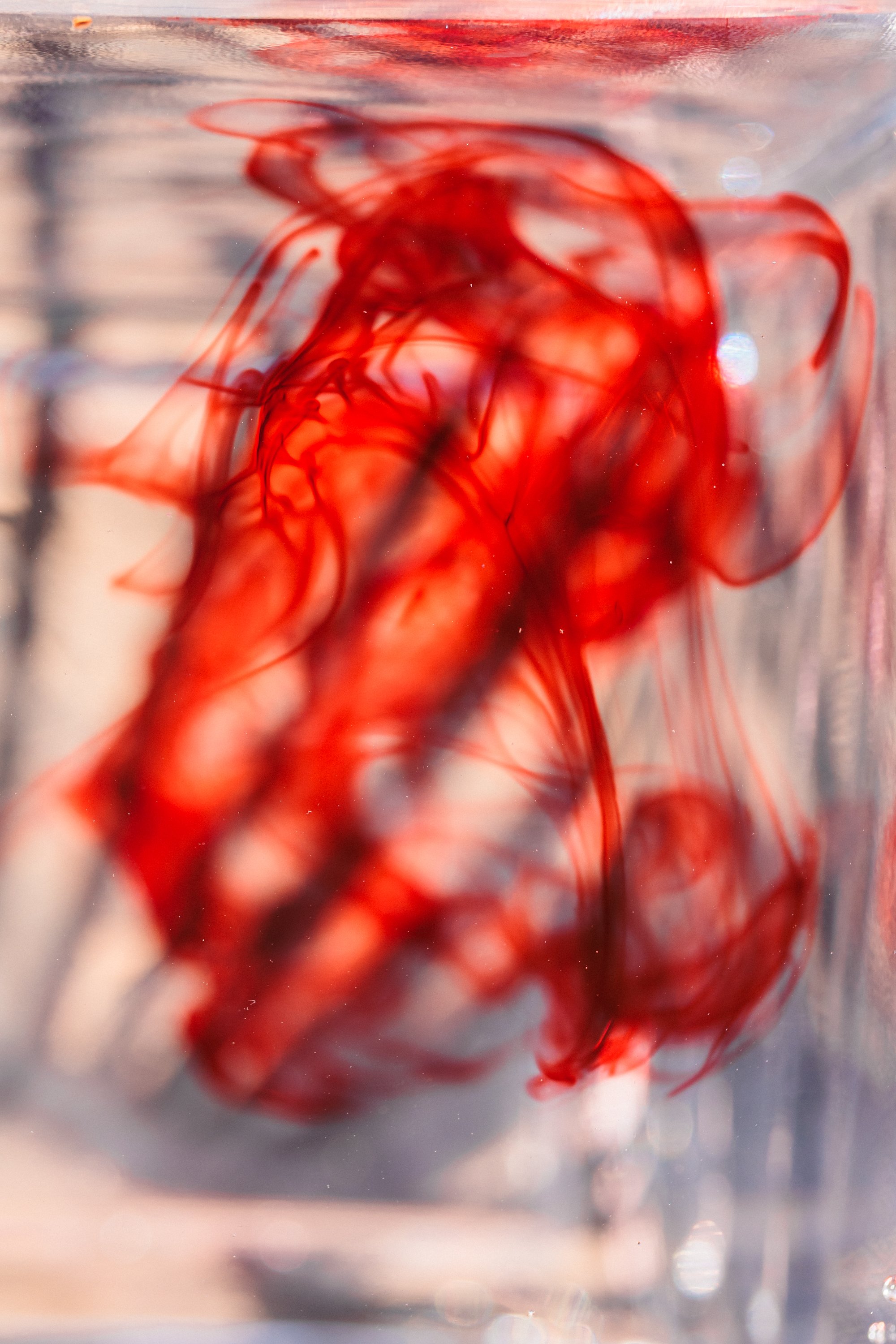 Rachel_Encounter-15.jpg