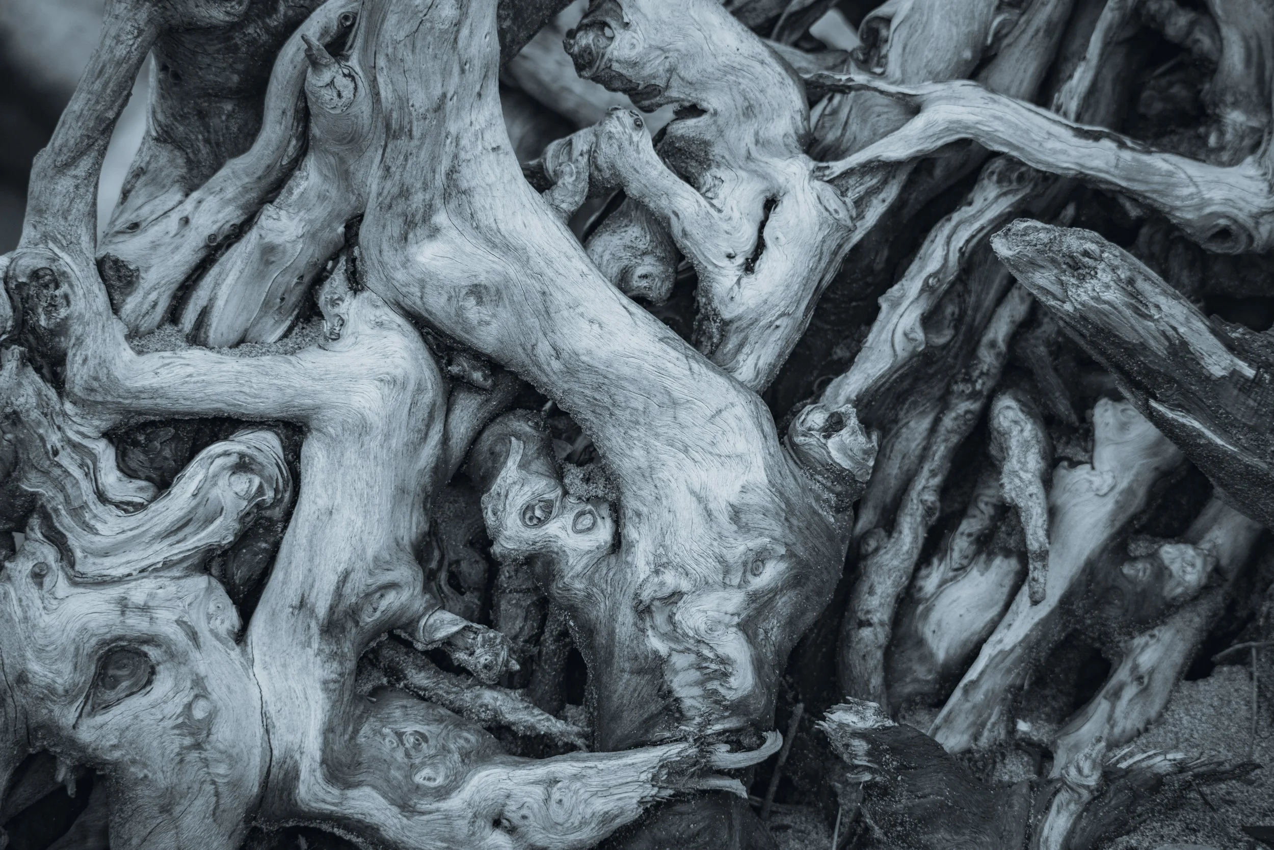 Maelstrom (2025).