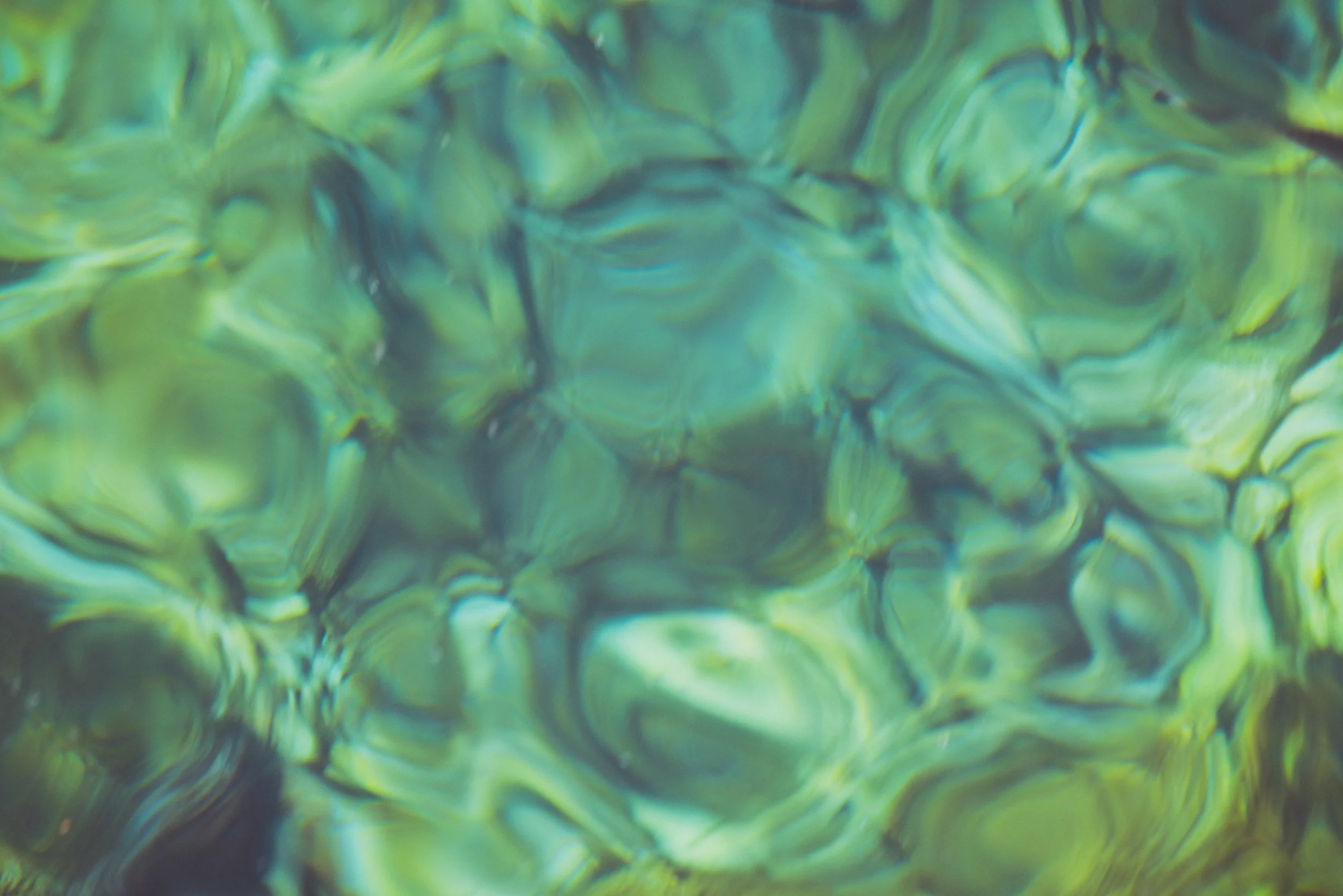 Flux (2026).