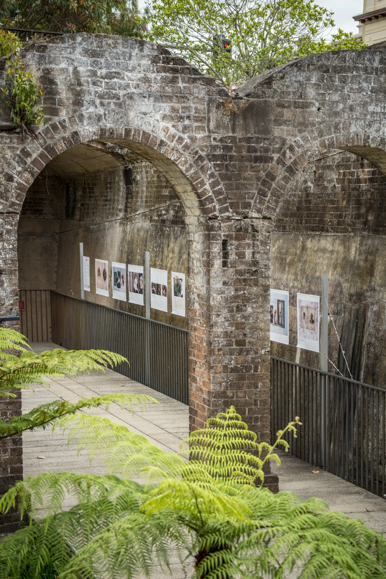 A historic brick archway with photographs displayed inside, surrounded by lush green ferns and plants, part of an outdoor exhibit or gallery.
