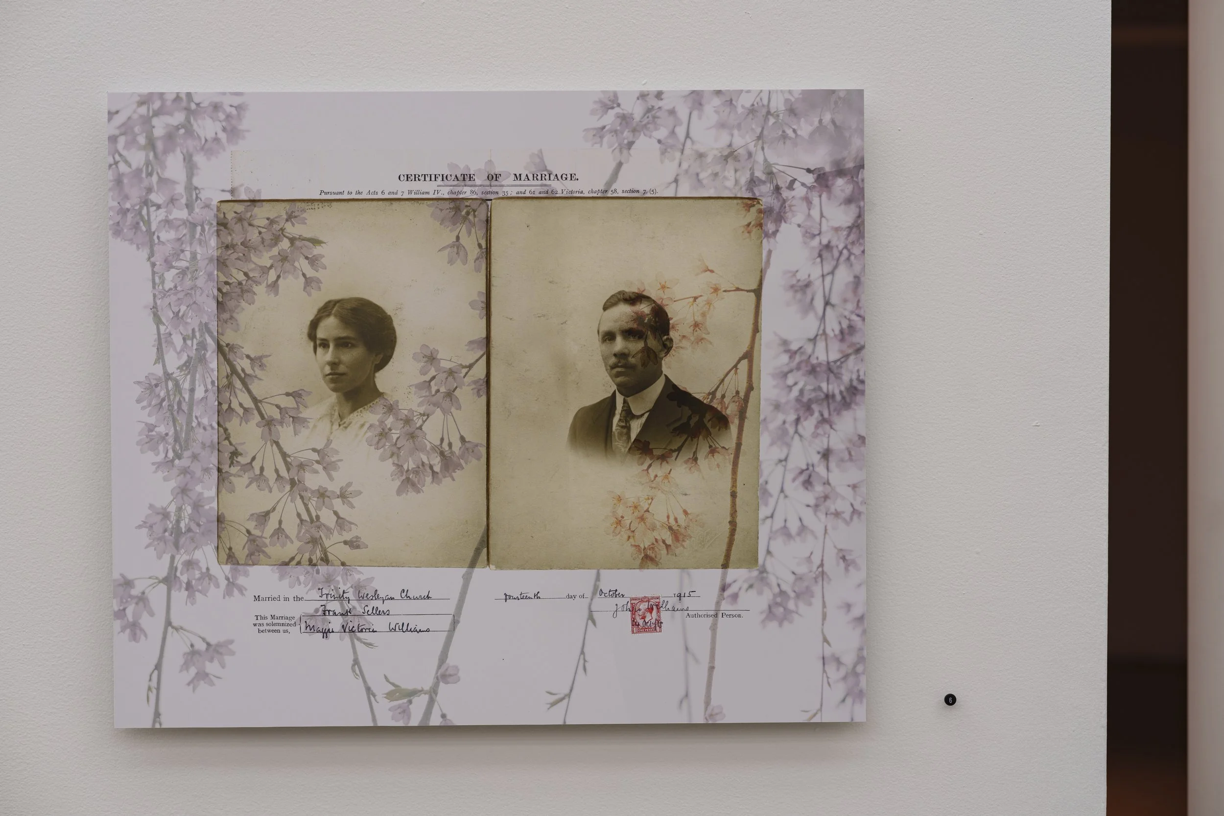 Historical wedding certificate with black and white photographs of a woman and a man, decorated with pink cherry blossom illustrations, on a white wall.