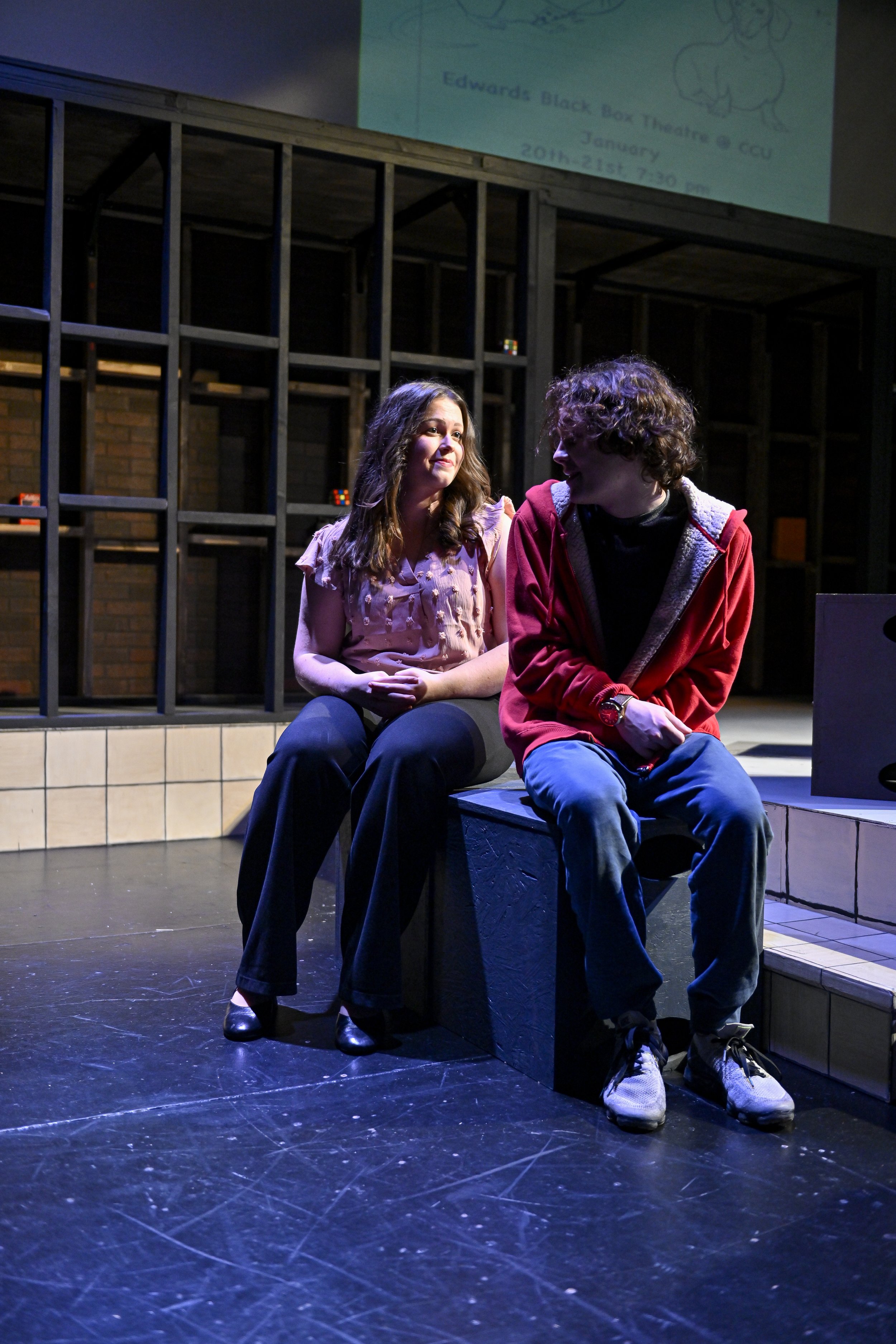 The_Curious_Incident_of_the_Dog_in_the_Night-Time-9695.jpg