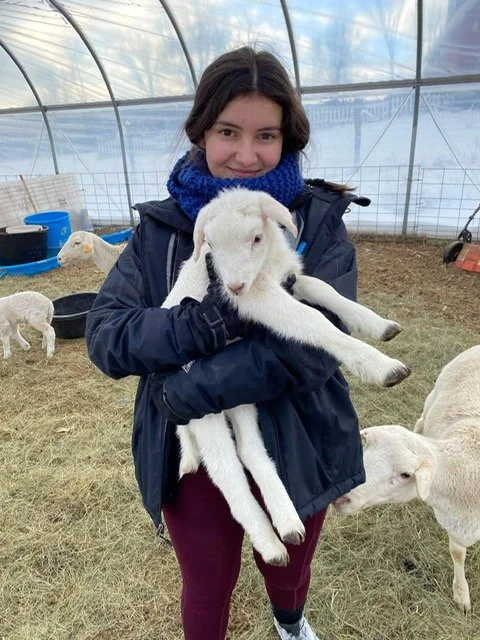 Young woman holding a goat inside a greenhouse with other goats nearby