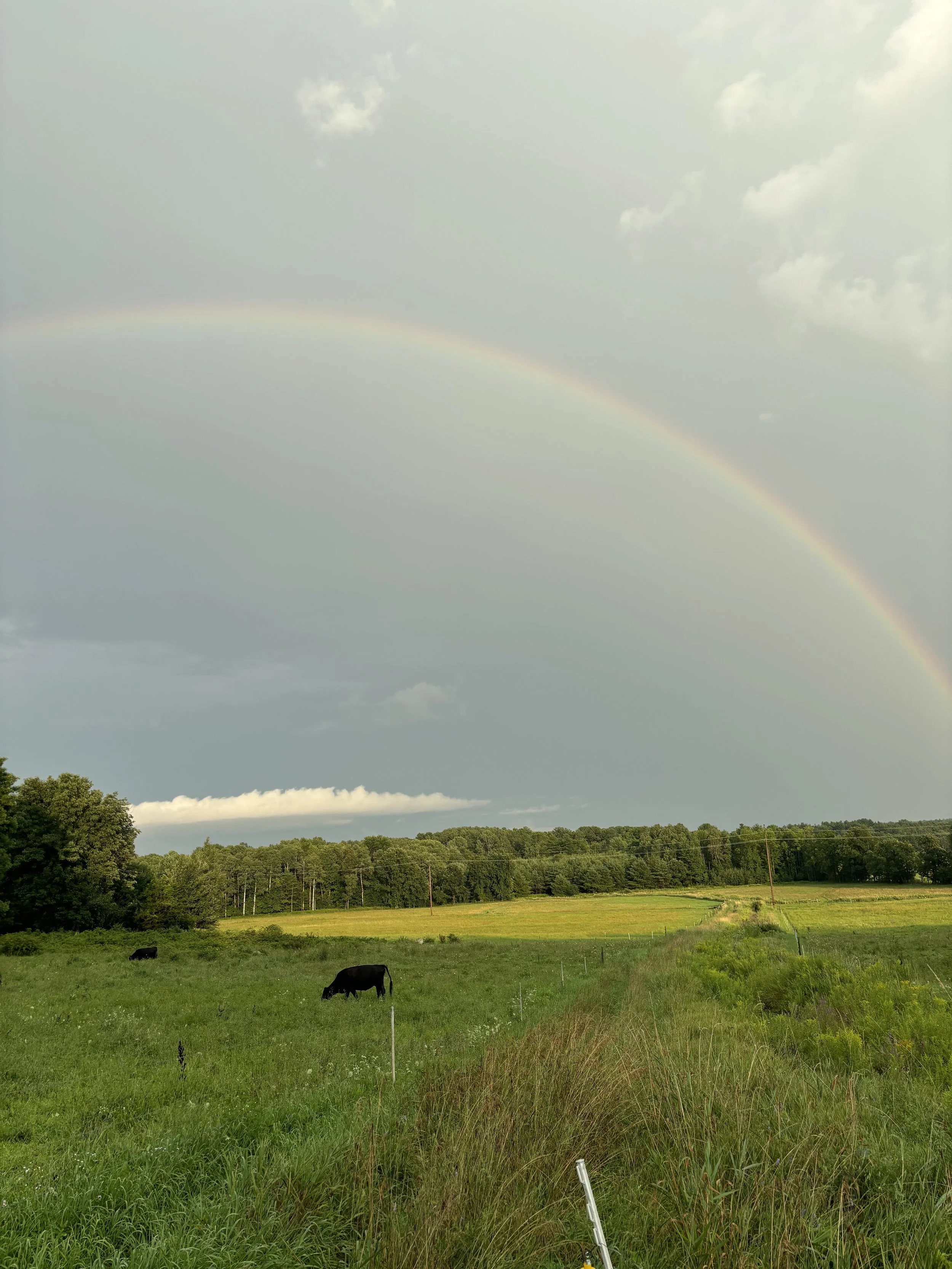 lake champlain farm with rainbow