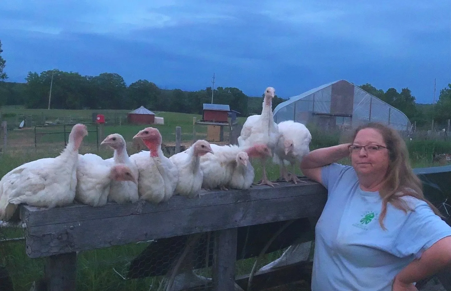 A woman standing next to a wooden fence with white turkeys on top of it in a farm setting at dusk.