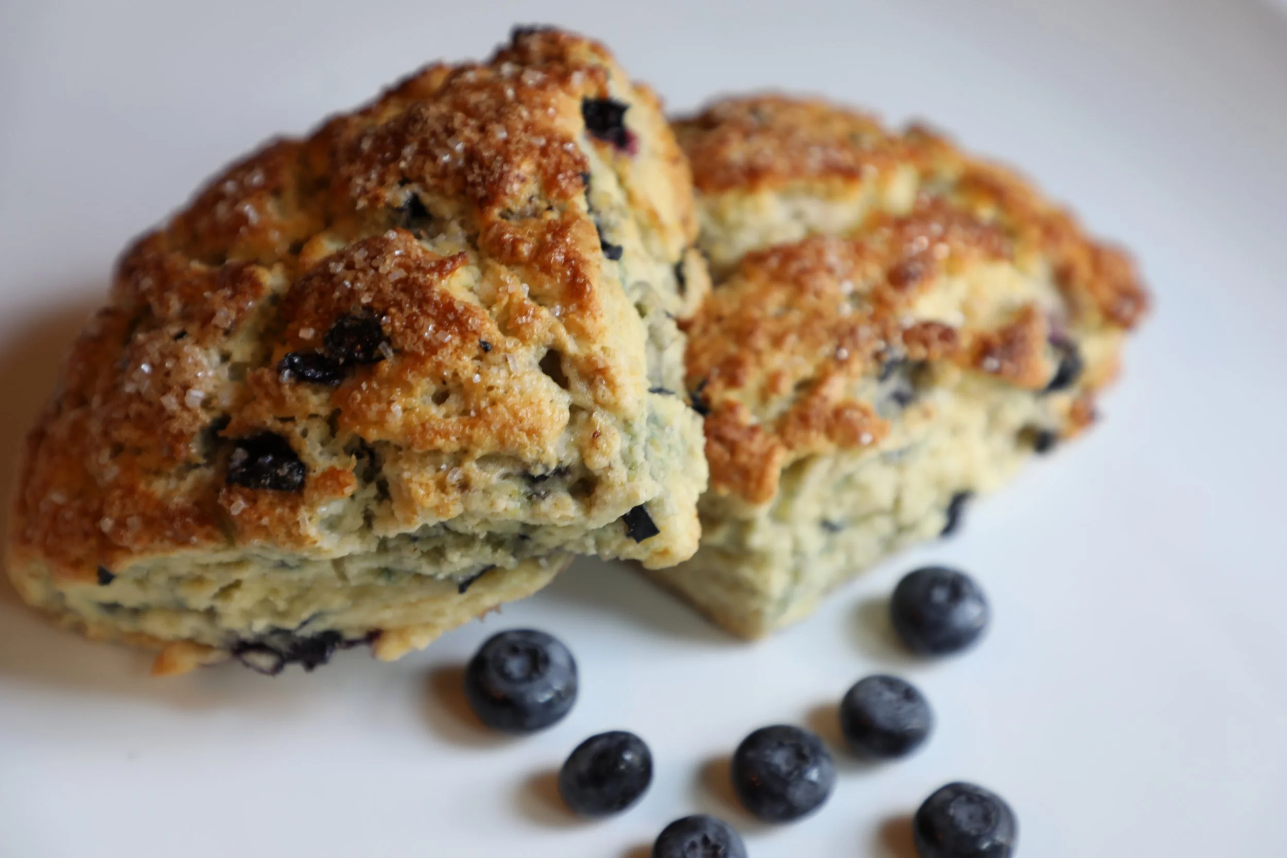 The HoneyBirch Bakehouse