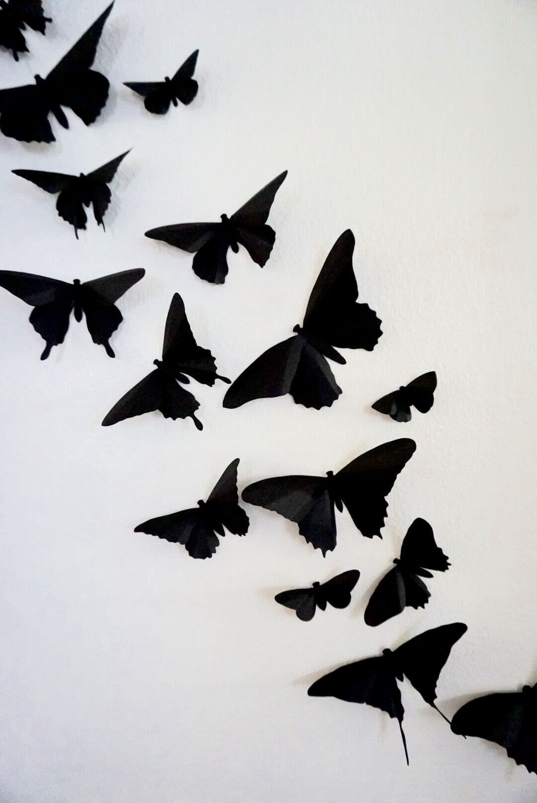 BE-black-butterflies-on-white-wall.jpeg