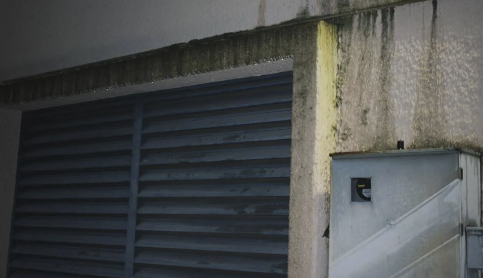 The Practice of Making Each Other Visible