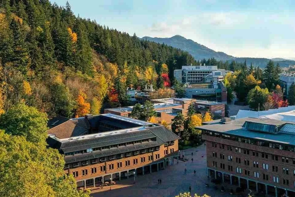 19 interpretations of language