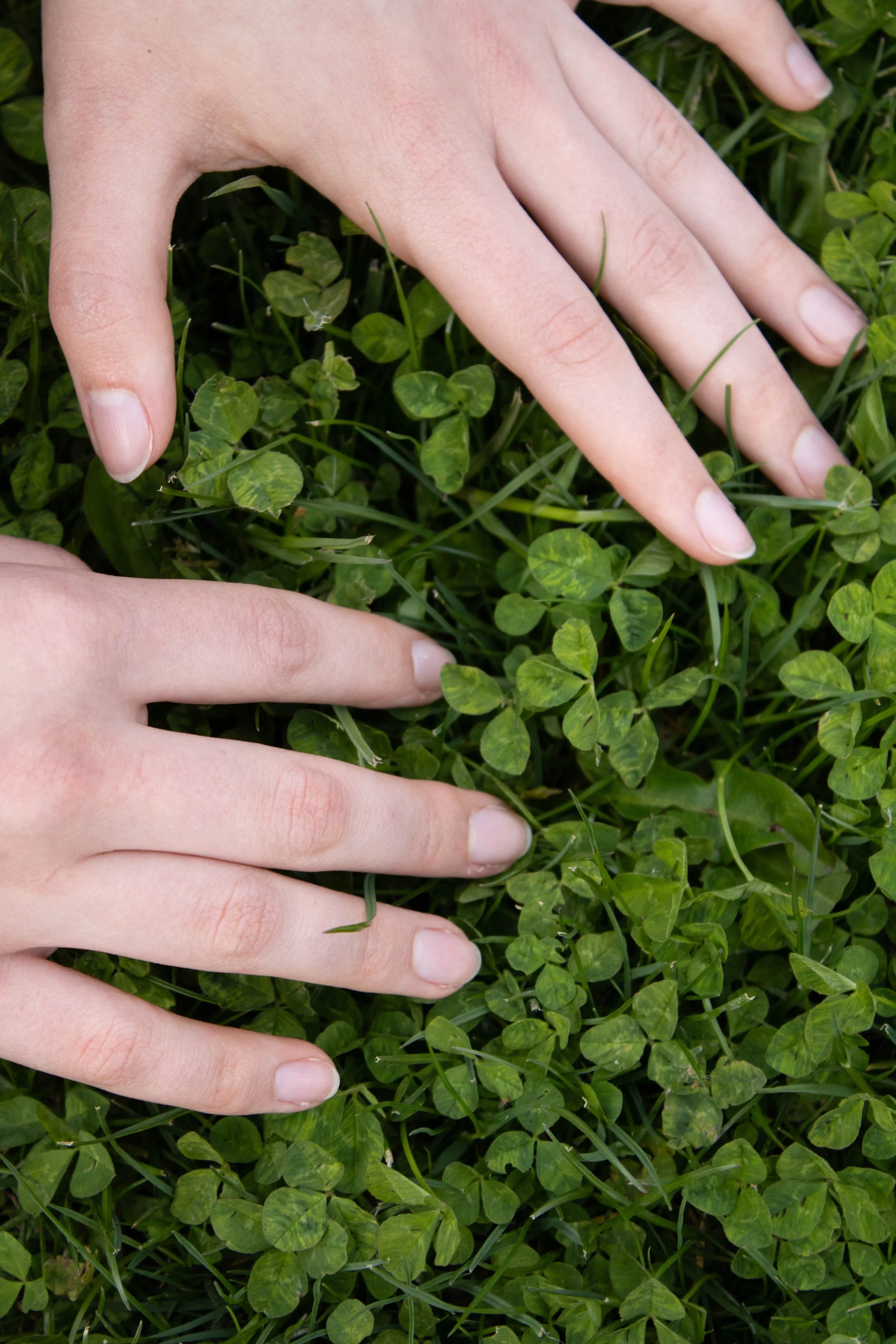  Crouching in the verdant green grass outside Western’s Performing Arts Center, Western student Emma Bishop aids in the tedious search for a four-leaf clover. The little good-luck charms are a pain to find, yet so satisfying to hold. 