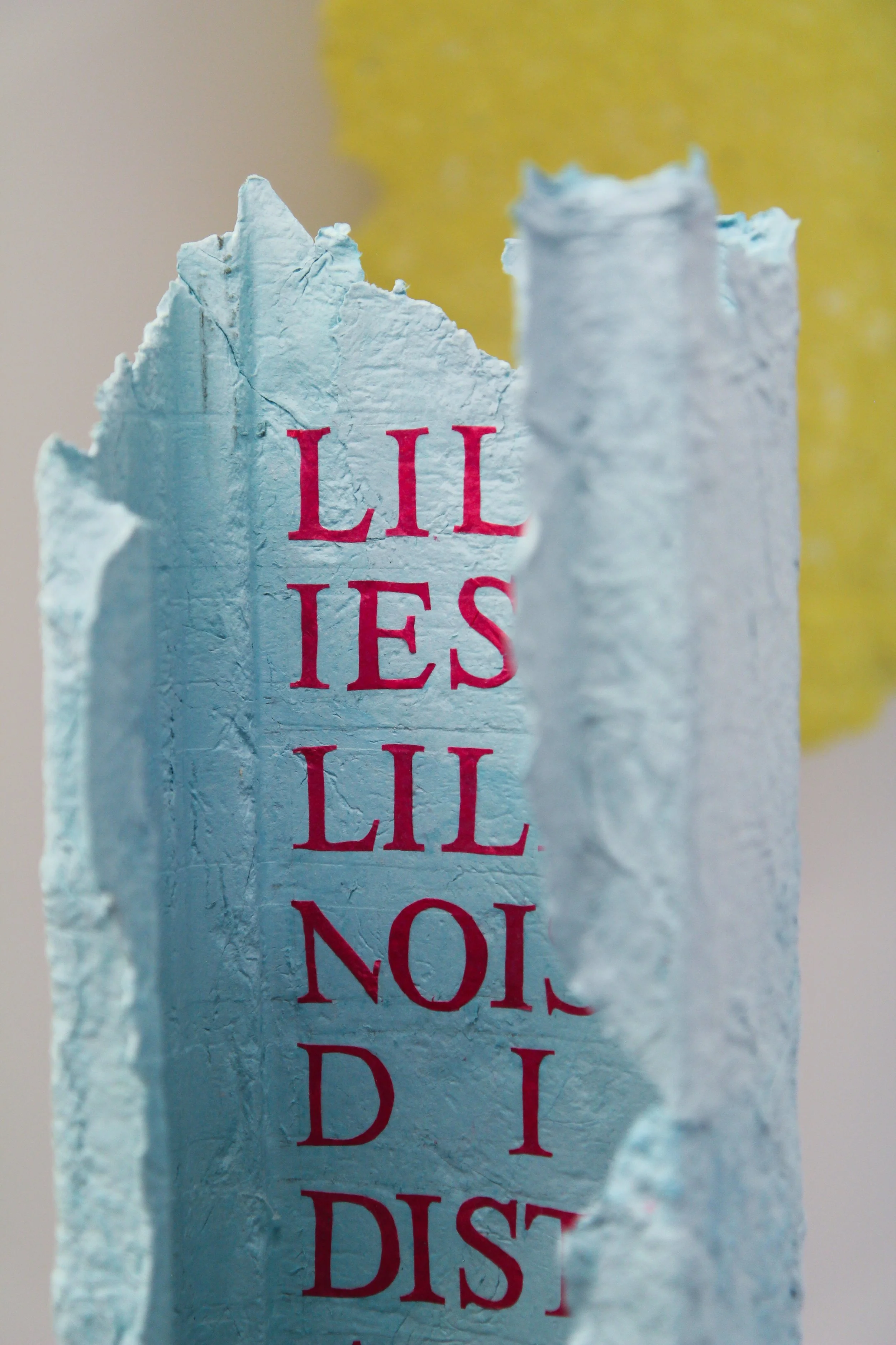 I.DR.1070-01 (The Lilies)