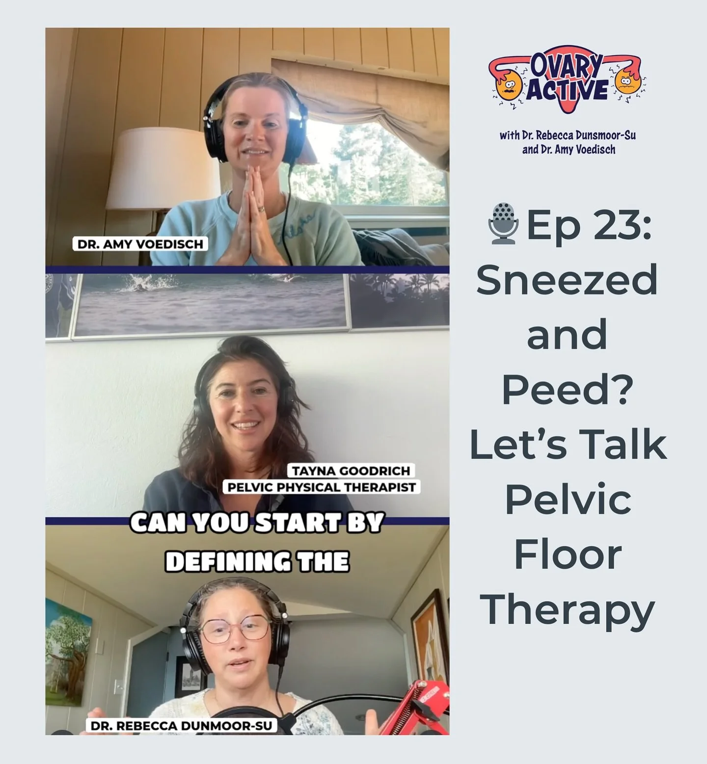 Dr. Tanya Goodrich joins Dr. Amy Voedisch &amp; Dr. Rebecca Dunsmoor-Su on @ovary_active to talk about all things pelvic health: what the pelvic floor is, the importance of pelvic physical therapy, and why visuals play such a powerful role in care.
T