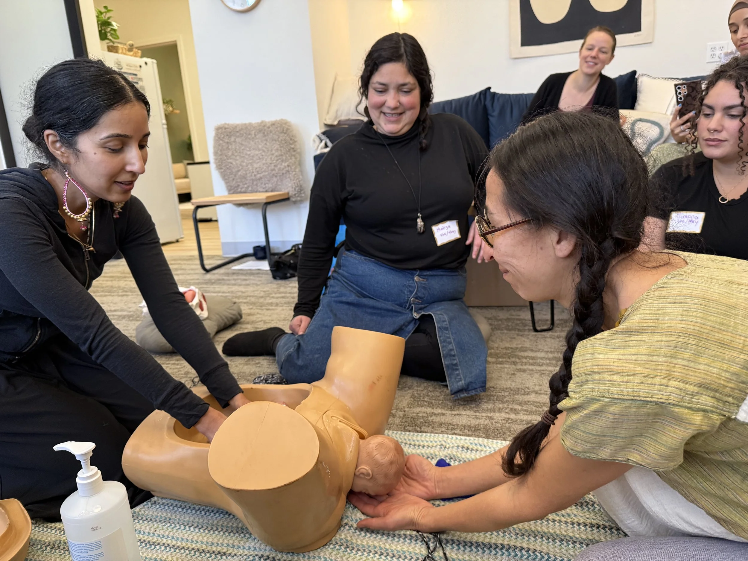 Student Skills Days: Supporting Clients and Ourselves Through Birth Trauma
