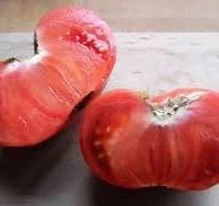 Watermelon Beefsteak