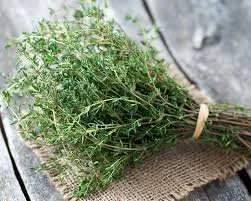 Herbs - Thyme (Plant)  4" Pot
