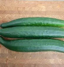 Tasty Green Cucumber