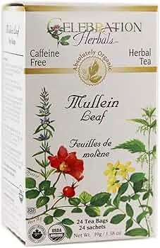 Mullein  24 Tea Bags