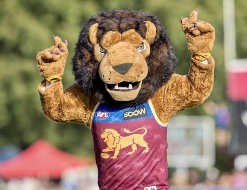 coolum-lions-mascot.jpeg