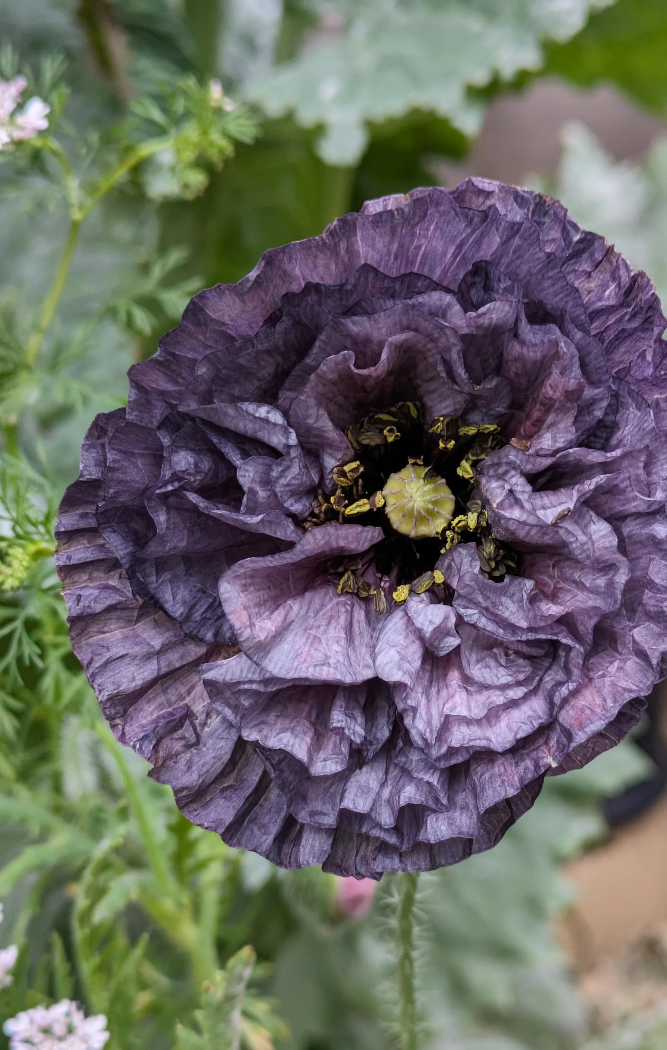 Build Your Own Bouquet (BYOB) DIY Popup