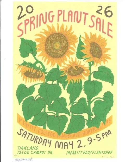 Merritt College Plant Sale - Spring 2026