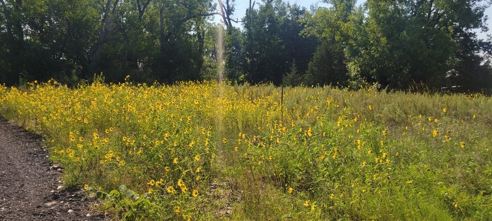 Image 4.jpeg