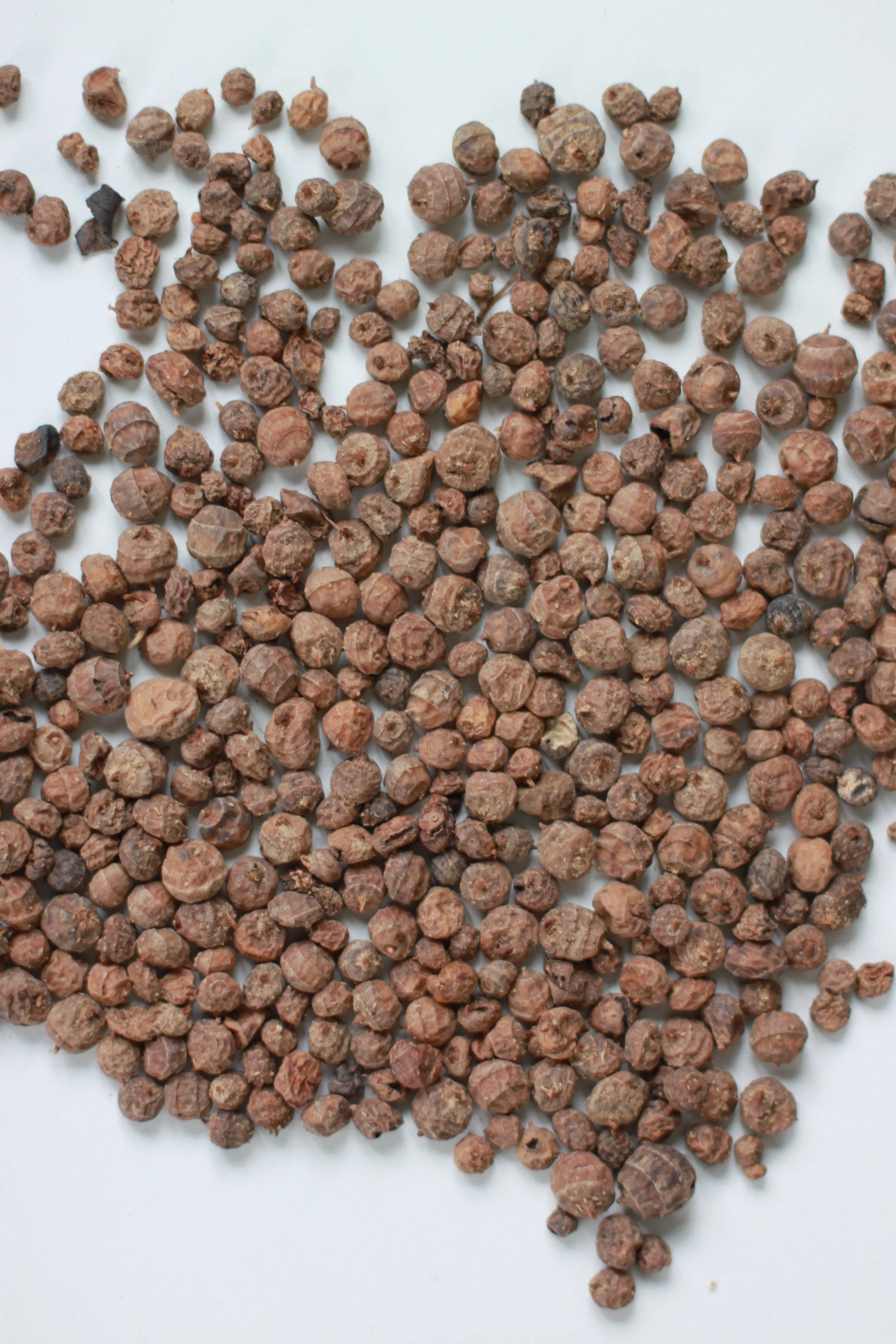 They go by many names!!!