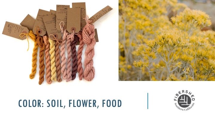 Color: Soil, Flower, Food, April 2023