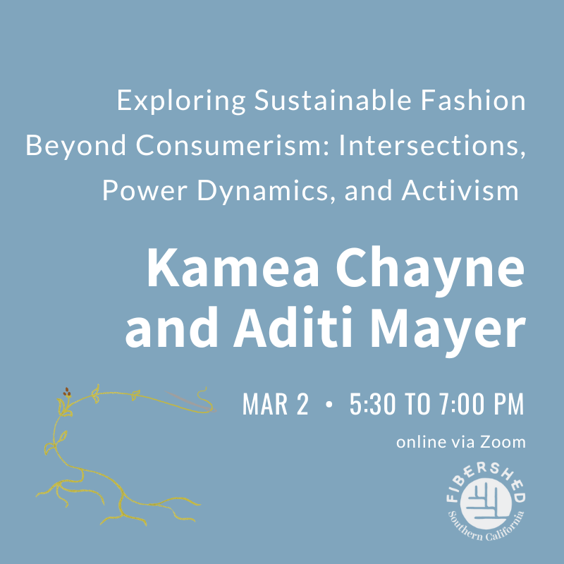 Beyond Consumerism: Intersections, Power Dynamics, and Activism