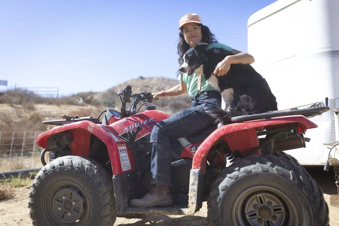 Cole Bush_Todd Selby_small.jpeg