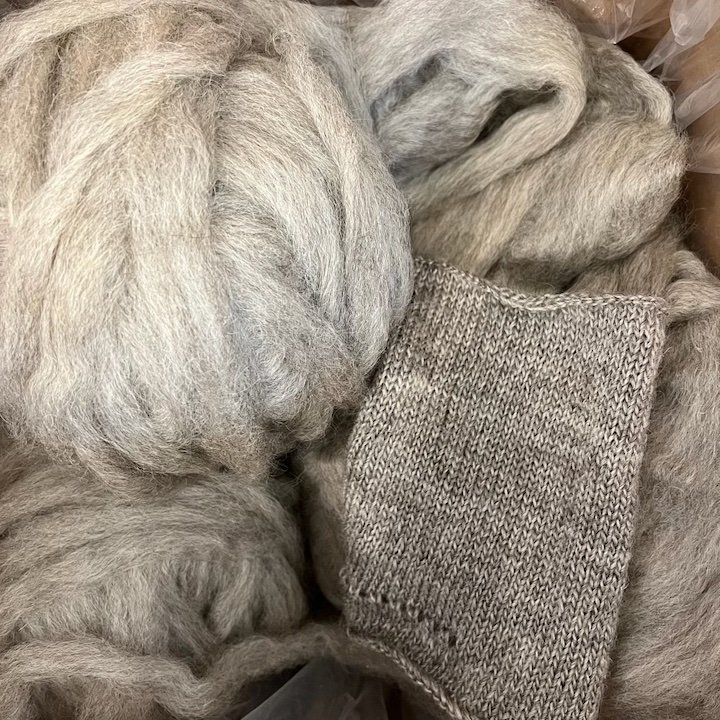 Shetland Roving from Present Tense