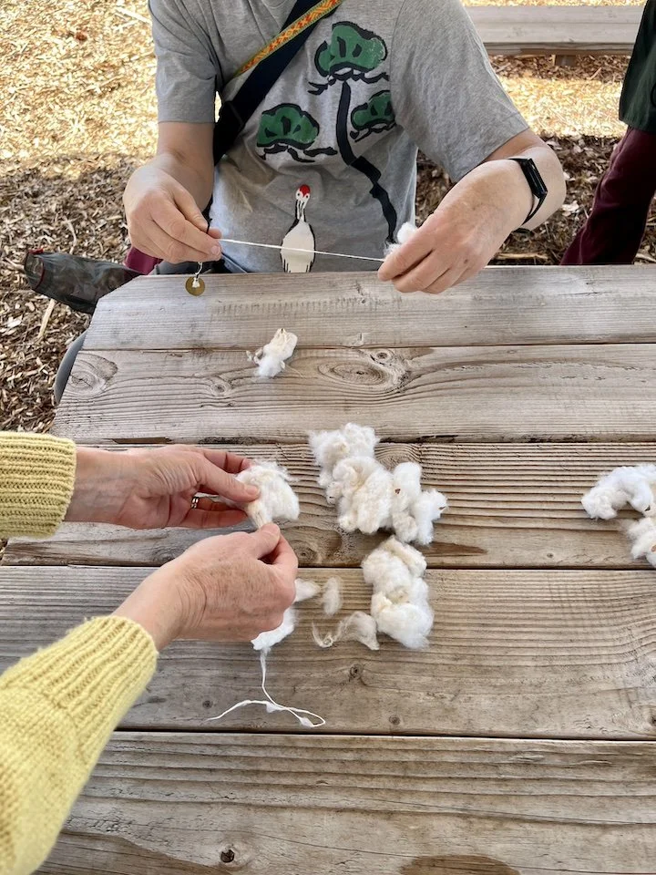 spinning cotton
