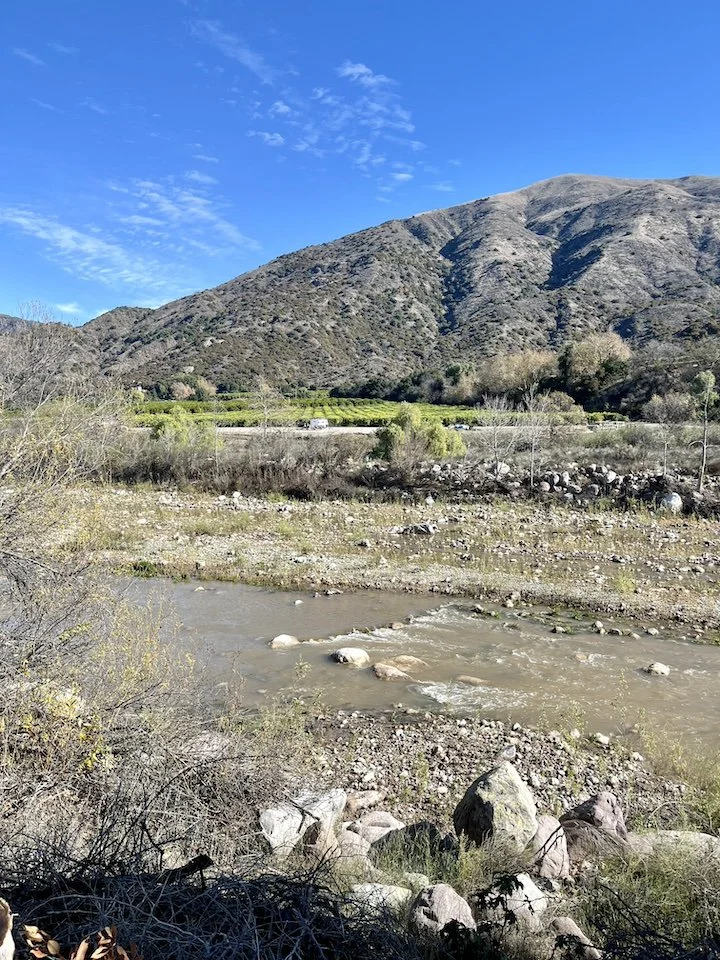 the Sespe River