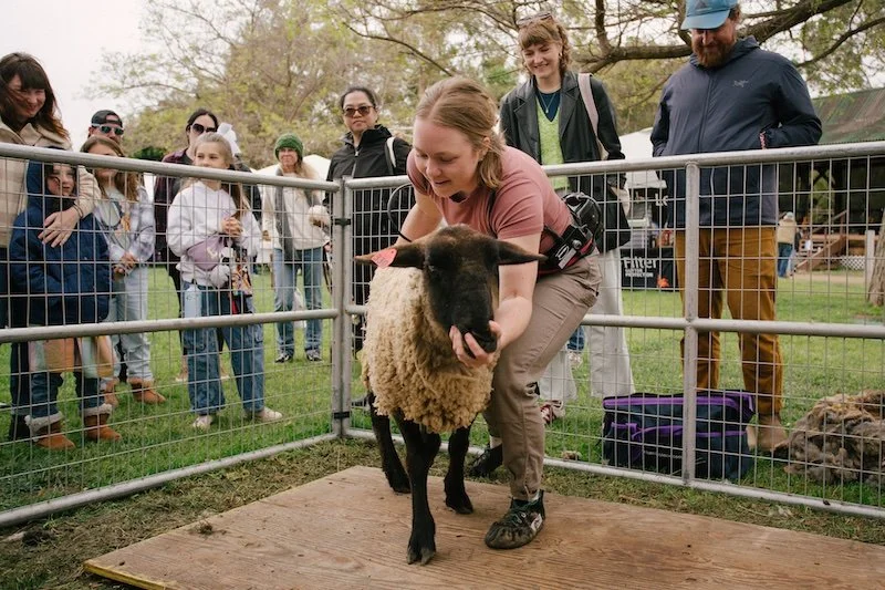 photos by Brad Van Arsdale