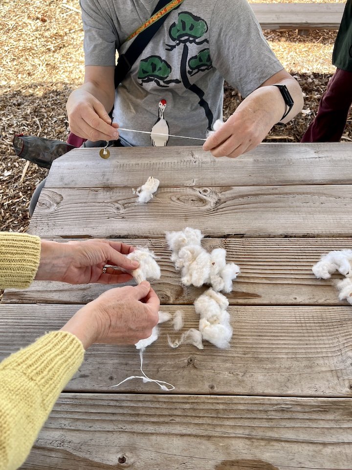 socalfibershed_hands.jpeg