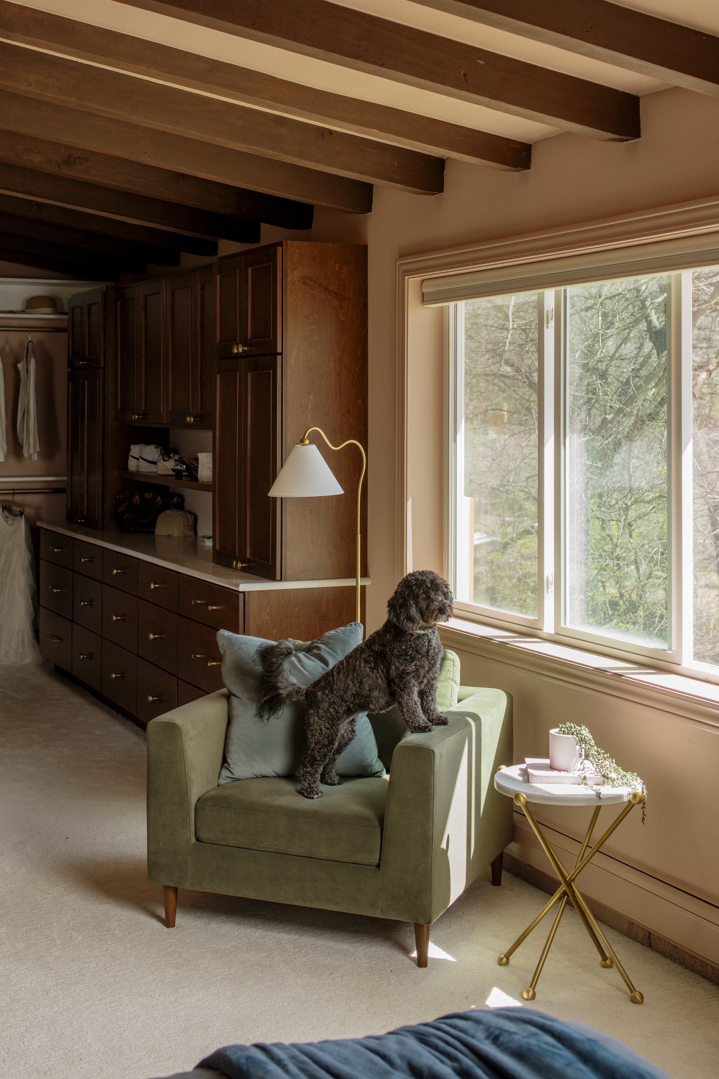 Client's dog enjoying the chair and the view