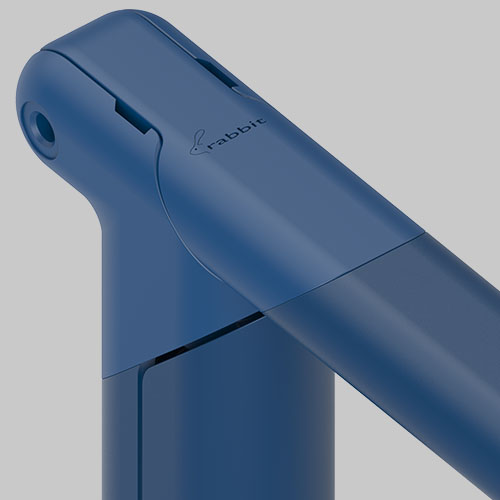 Rabbit-Orthodetail.jpg