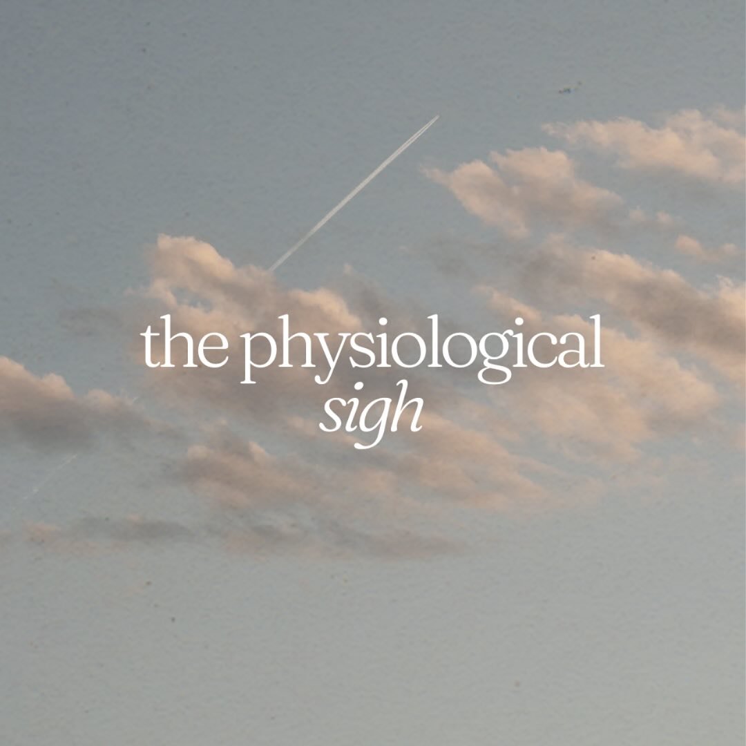 When emotions or thoughts (or circumstance) feel like too much, breath and your physiology is your anchor.

1. Take a deep, full breath. First fill the belly, let the expansion reach the ribs, then partway up into the chest.

2. When your inhalation 