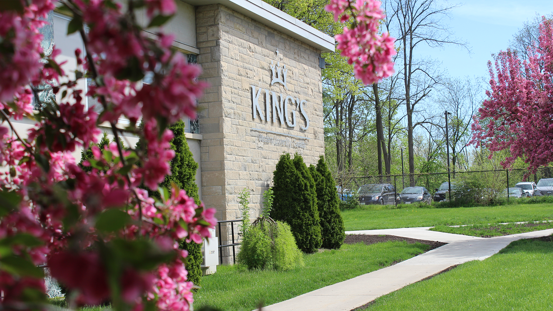 Pink flowering tree in front of a building with a sign that reads 'KINGS' and a row of parked cars behind a black fence.